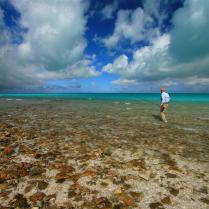 Christmas Island Outfitters
