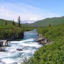 Cusack's Alaska Lodge
