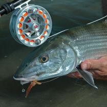 H2o Bonefishing
