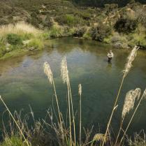 Poronui Ranch