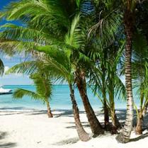 Tiamo Resort